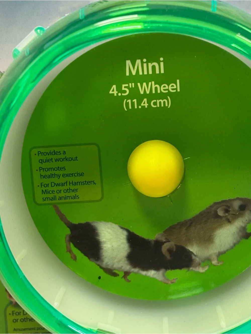 Kaytee Small Animal Premium Quality Exercise Wheel Silent Spinner Green & White